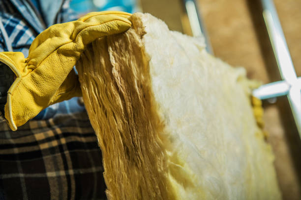 Best Insulation Maintenance and Repair in Bluffton, OH