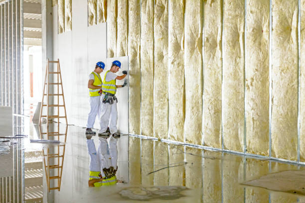 Best Residential Insulation in Bluffton, OH